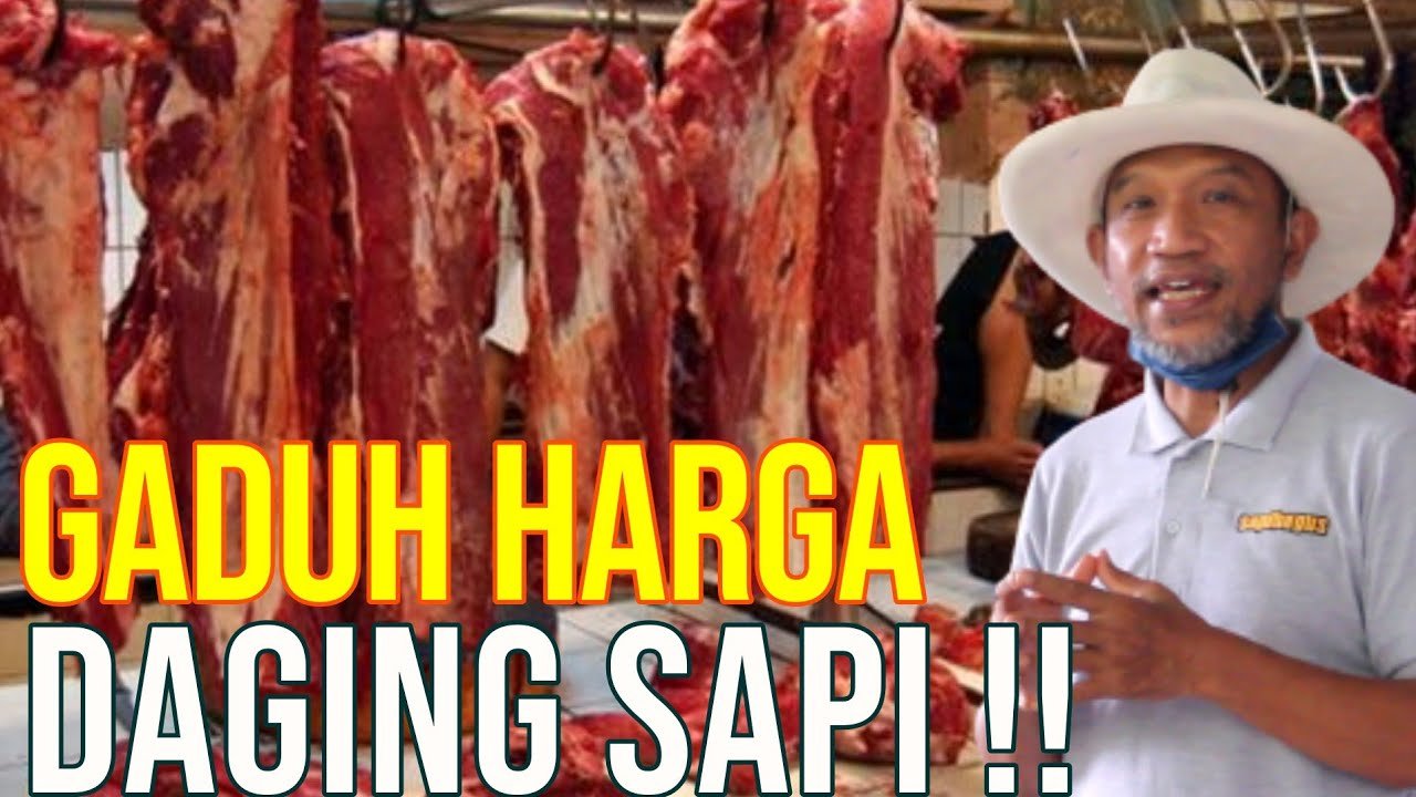 
                                 Penyebab-Pedagang-Daging-Mogok-Akibat-Naiknya-Harga-Sapi